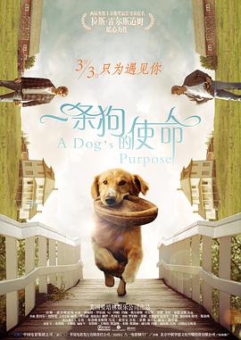 色香婷婷
