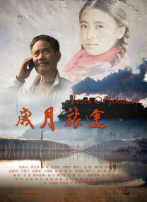 色成年激情久久综合
