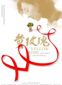 国内精品久久久久不卡