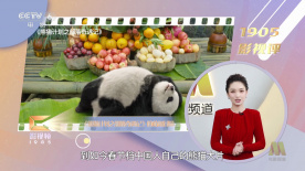家庭诱惑
